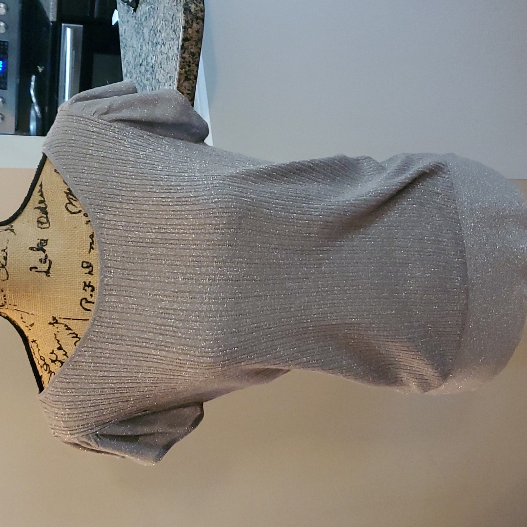 Silver/Gray Blouse